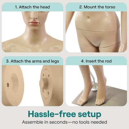 Female Torso Dress Form Mannequin - SLMAQFESKN