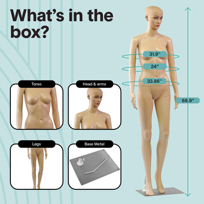 Female Torso Dress Form Mannequin - SLMAQFESKN