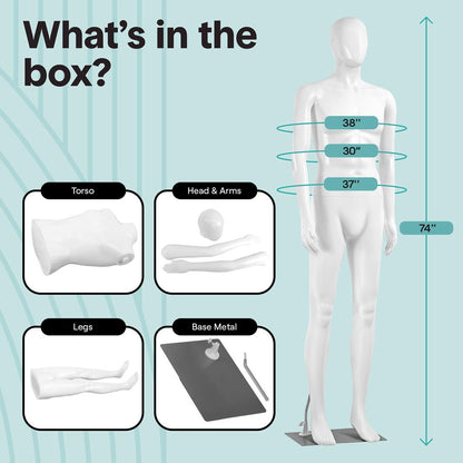 Male Torso Dress Form Mannequin - SLMAQML